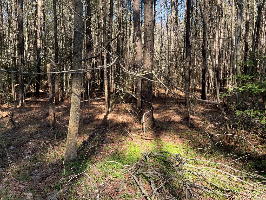 0 CLAM RD, BLOXOM, VA MLS 57006 For Sale Seaside Vacations & Sales