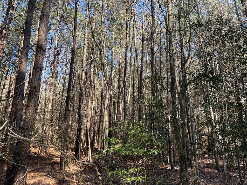 0 CLAM RD, BLOXOM, VA MLS 57006 For Sale Seaside Vacations & Sales