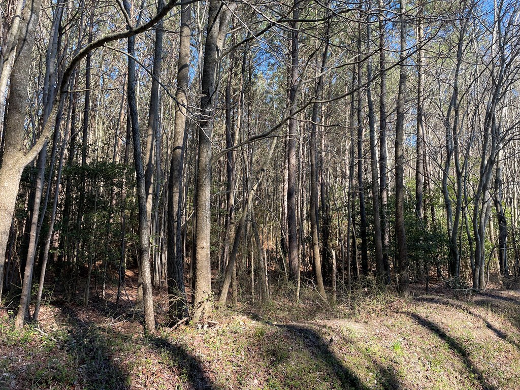 0 CLAM RD, BLOXOM, VA MLS 57006 For Sale Seaside Vacations & Sales