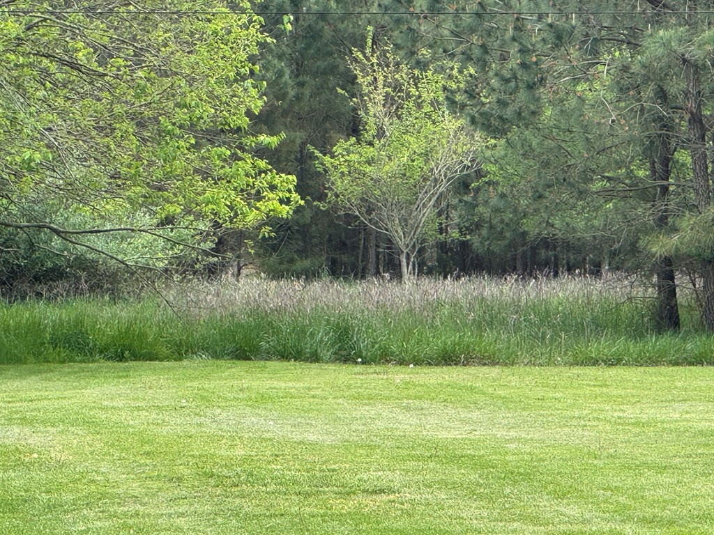 64237 | Photo 3