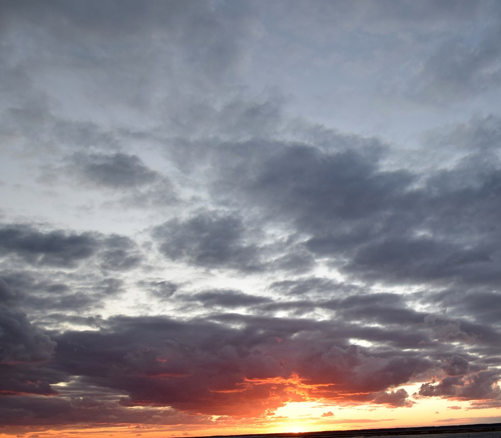 64491 | Photo 30
