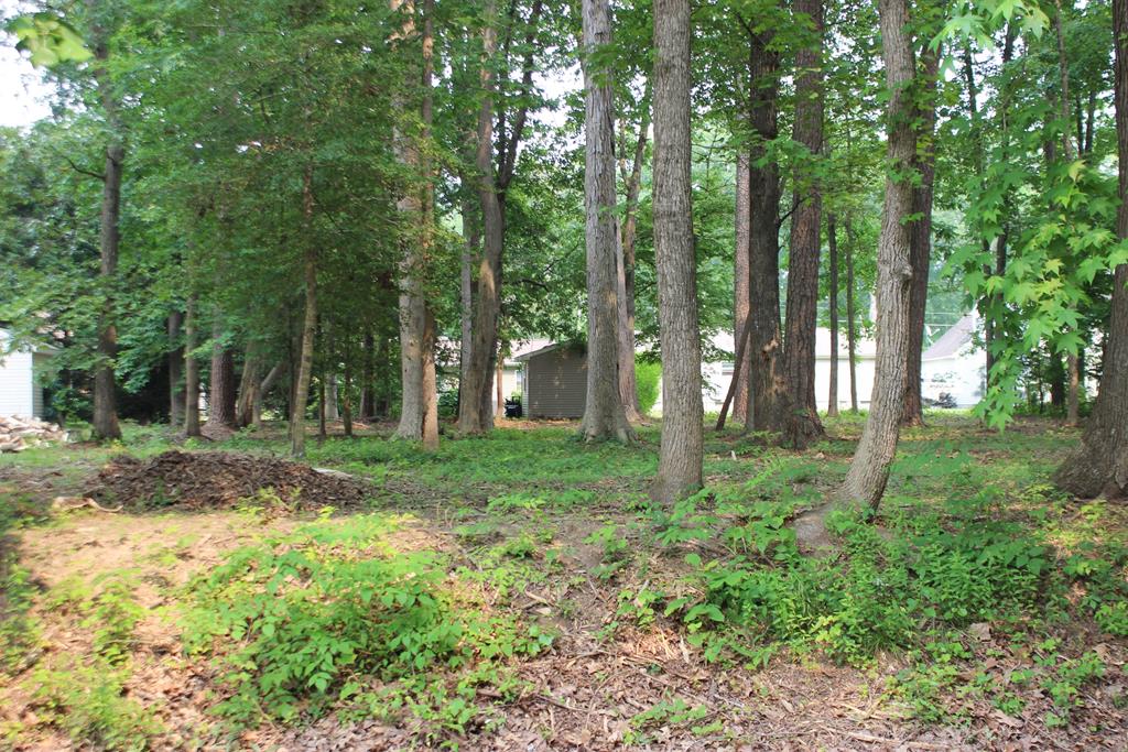 1994 MAYFLOWER DR 