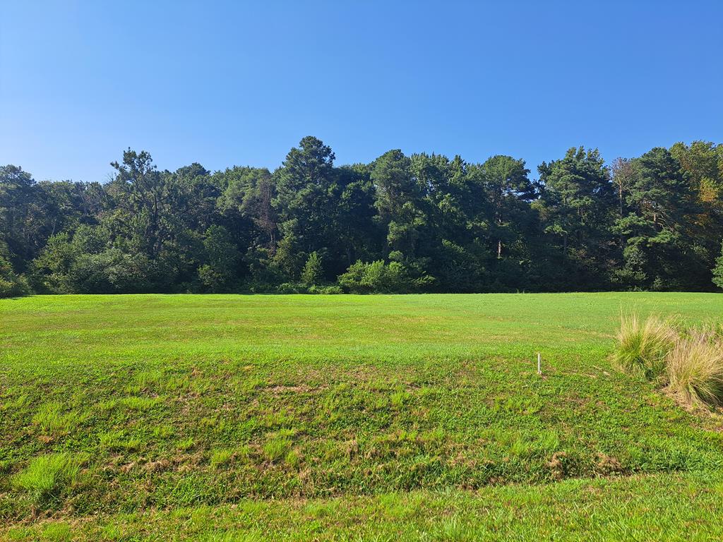 Lot 29 WHITE TAIL LANE 