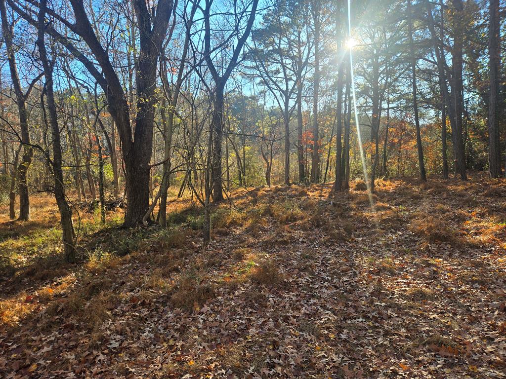 8396 WELLINGTON NECK RD 