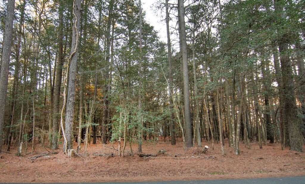 Lot 827 CASTAWAY DR 