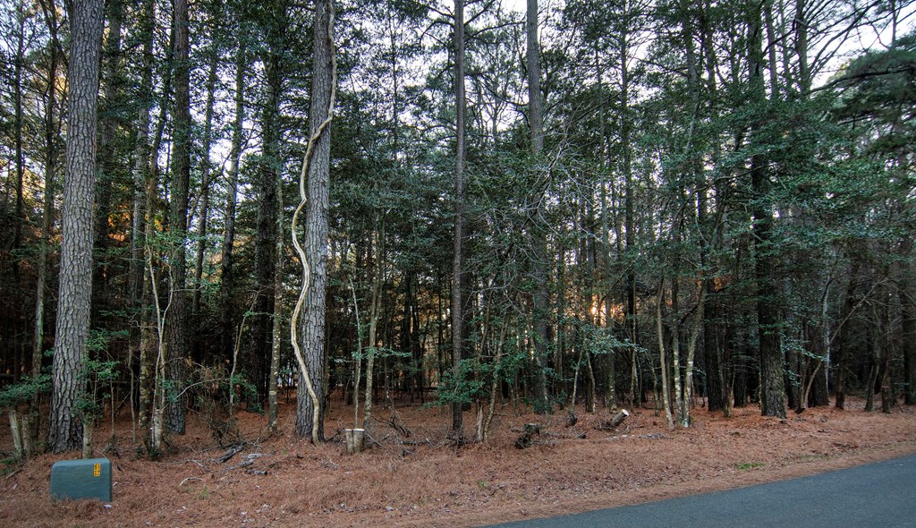 66717 | Photo 2