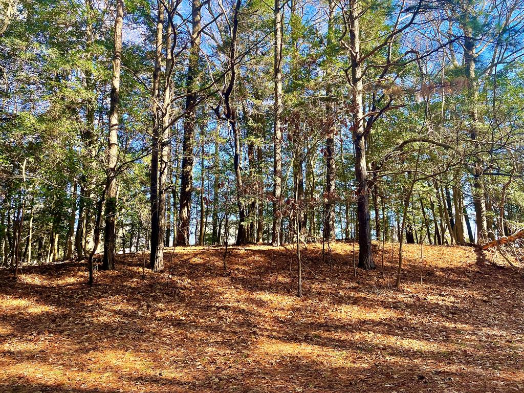 Lot 1593 HIGH SEA DR 