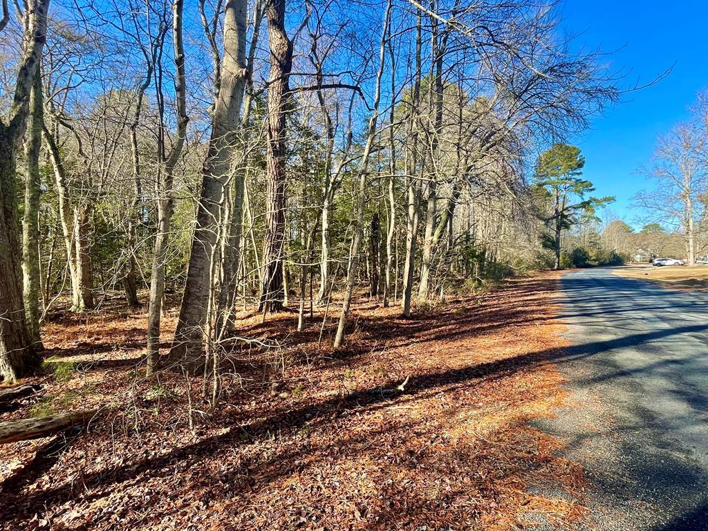 Lot 81 NEPTUNE DR 
