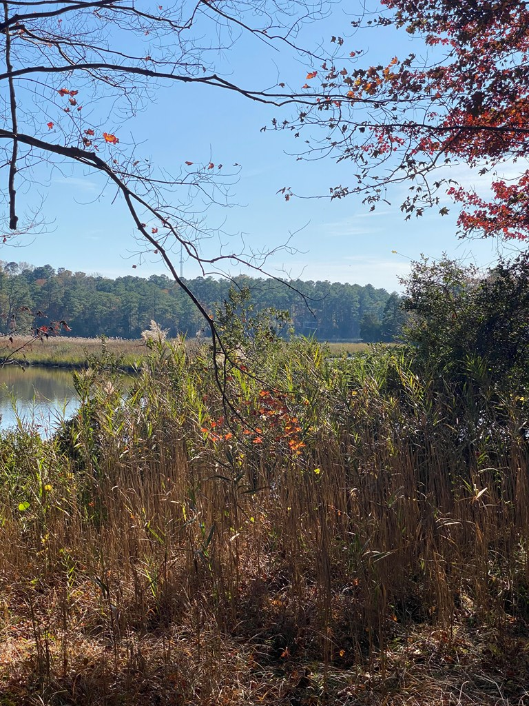 71010 | Photo 3