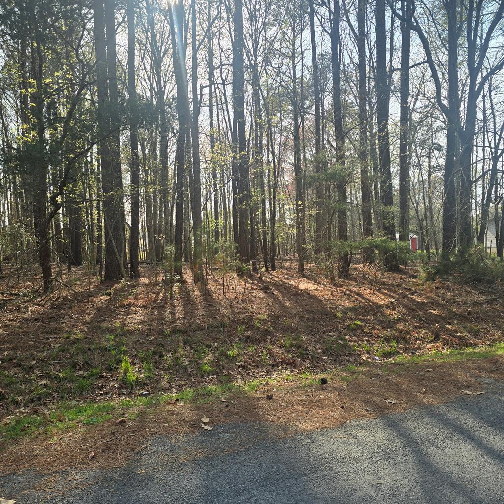 Lot #2 PINE MEADOWS WAY 