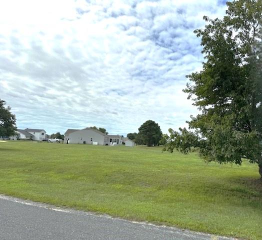 71206 | Photo 4