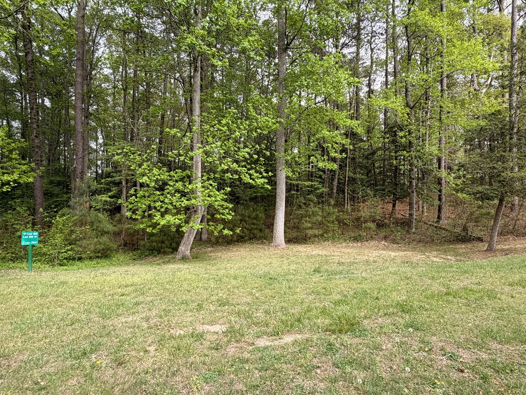71257 | Photo 12