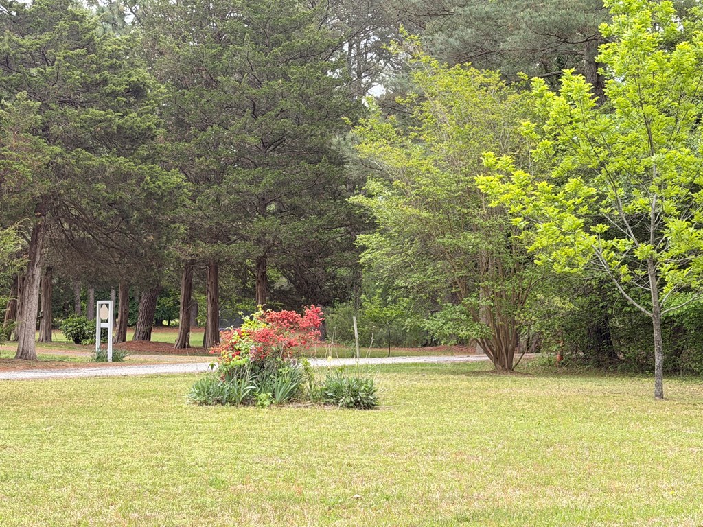71345 | Photo 14