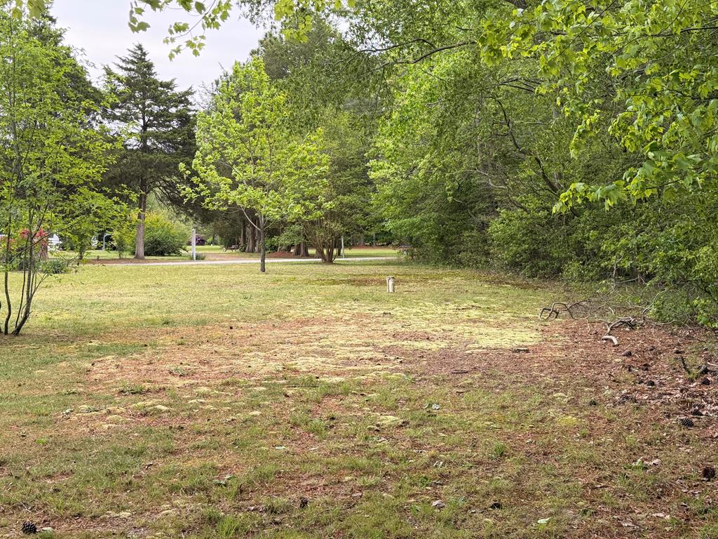 71345 | Photo 20