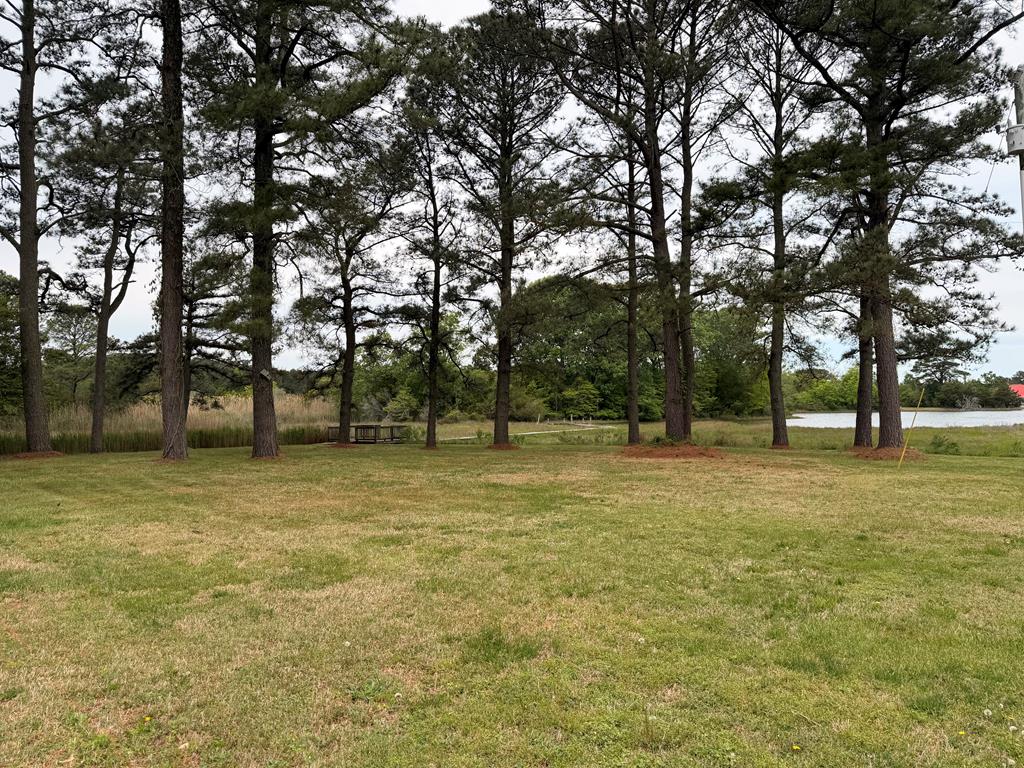 71350 | Photo 10
