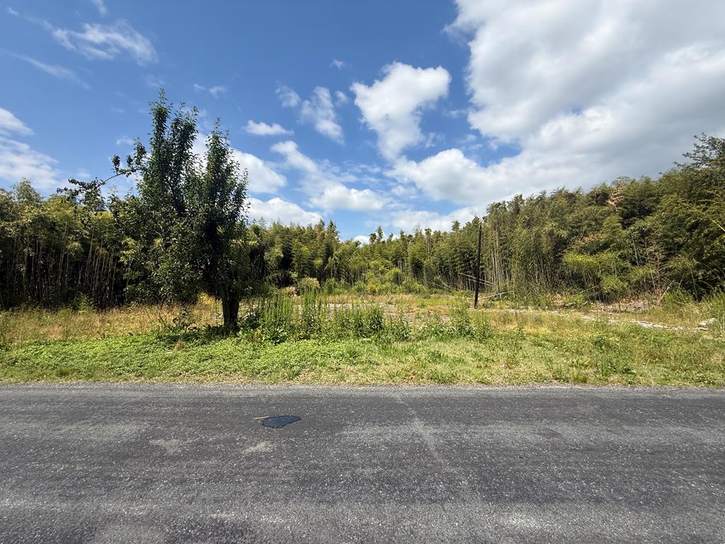 33211 NOCKS LANDING RD 