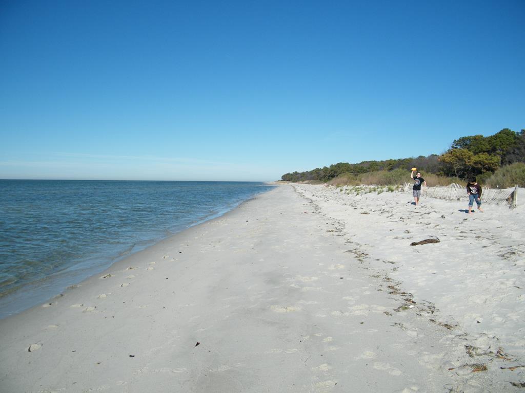71549 | Photo 39