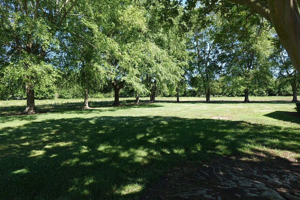 71570 | Photo 59