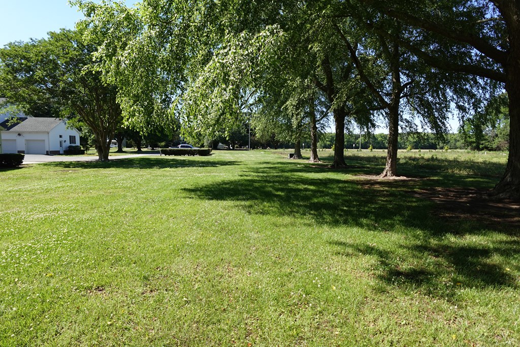 71570 | Photo 61