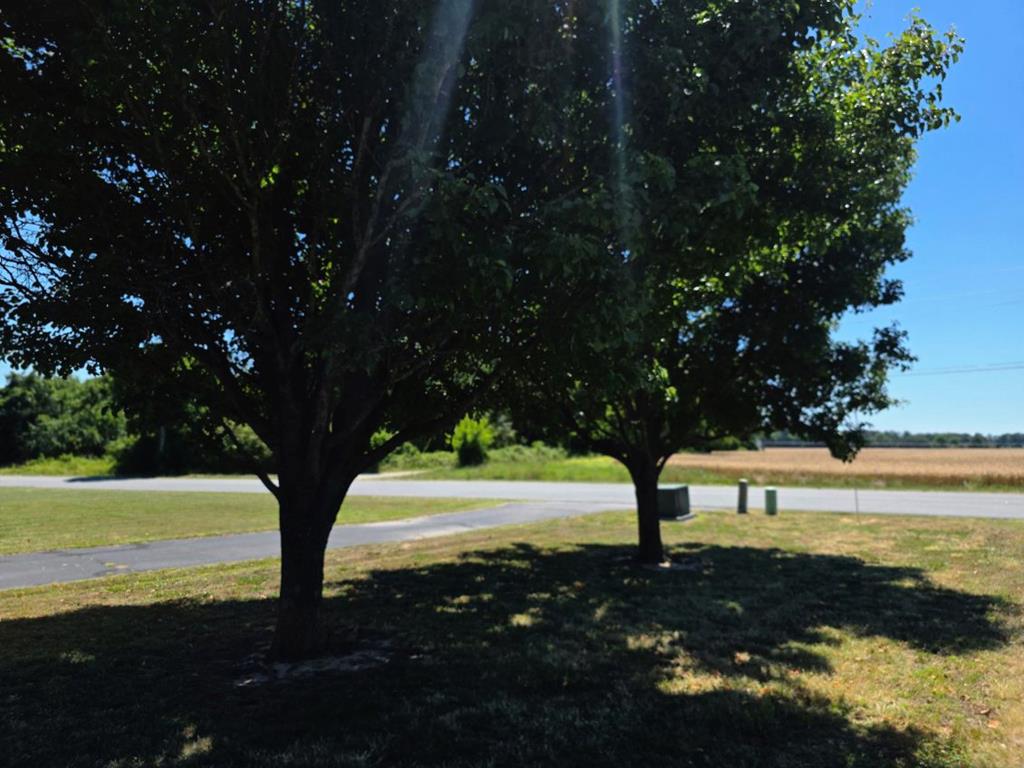 71583 | Photo 10