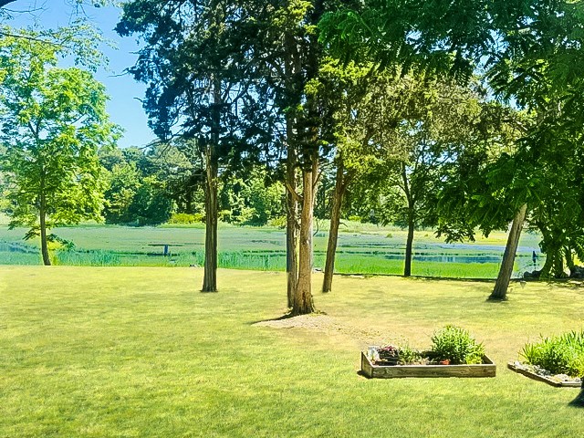 71661 | Photo 8