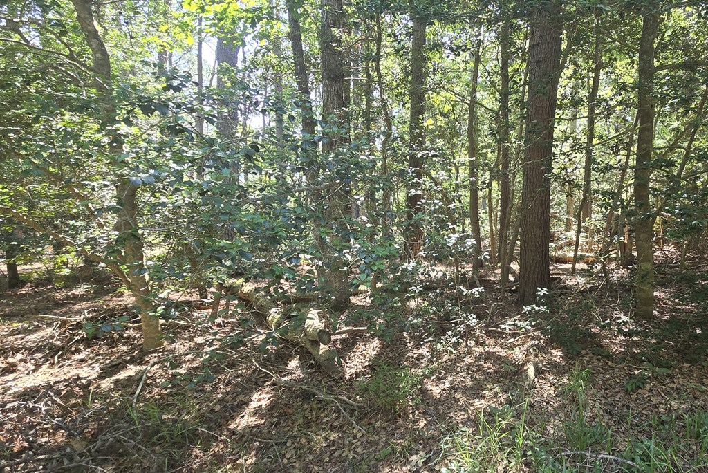 71678 | Photo 2