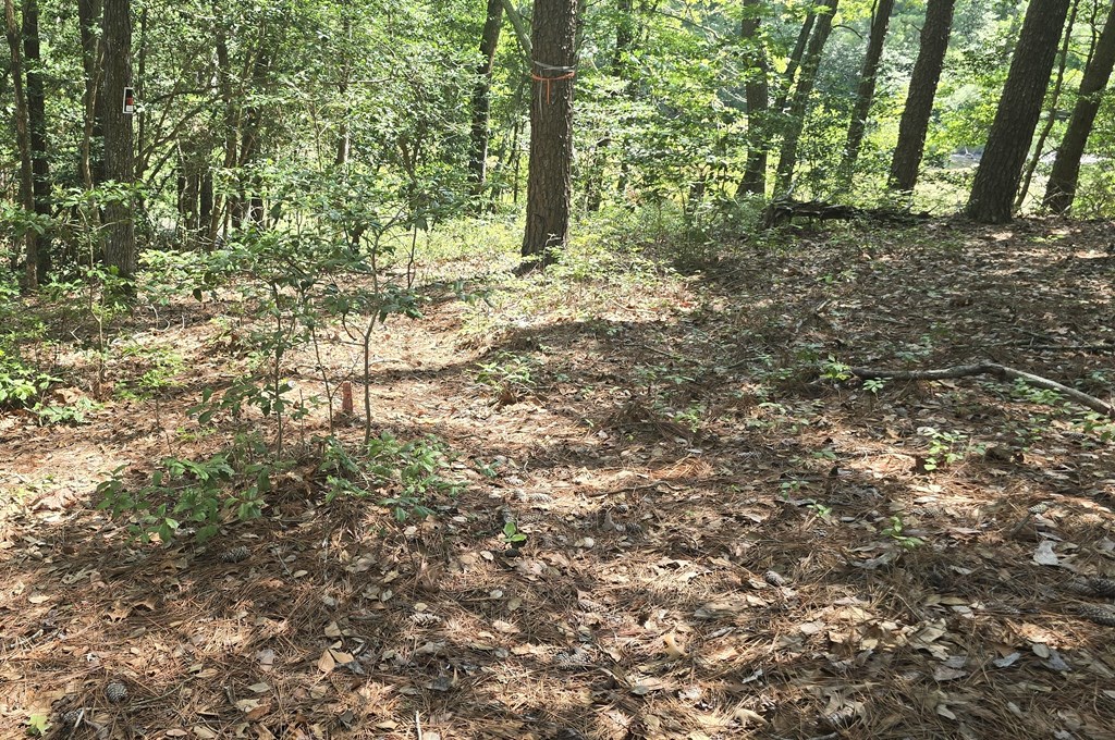 71678 | Photo 8