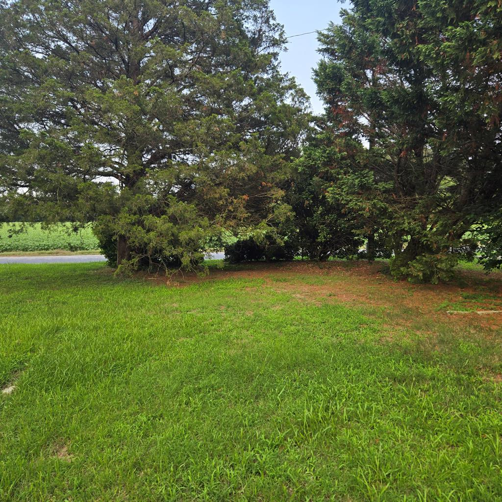 27288 CHEAPSIDE RD 