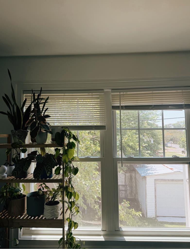 71897 | Photo 8