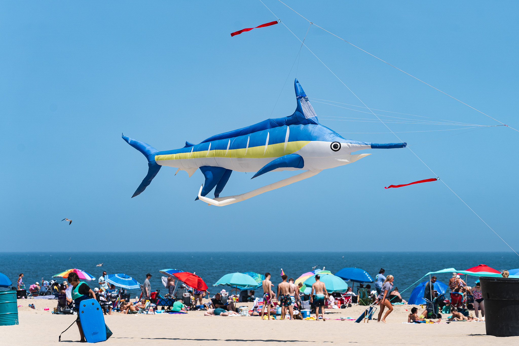 Maryland International Kite Expo Event