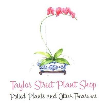 Things To Do Taylor Street Plant Shop