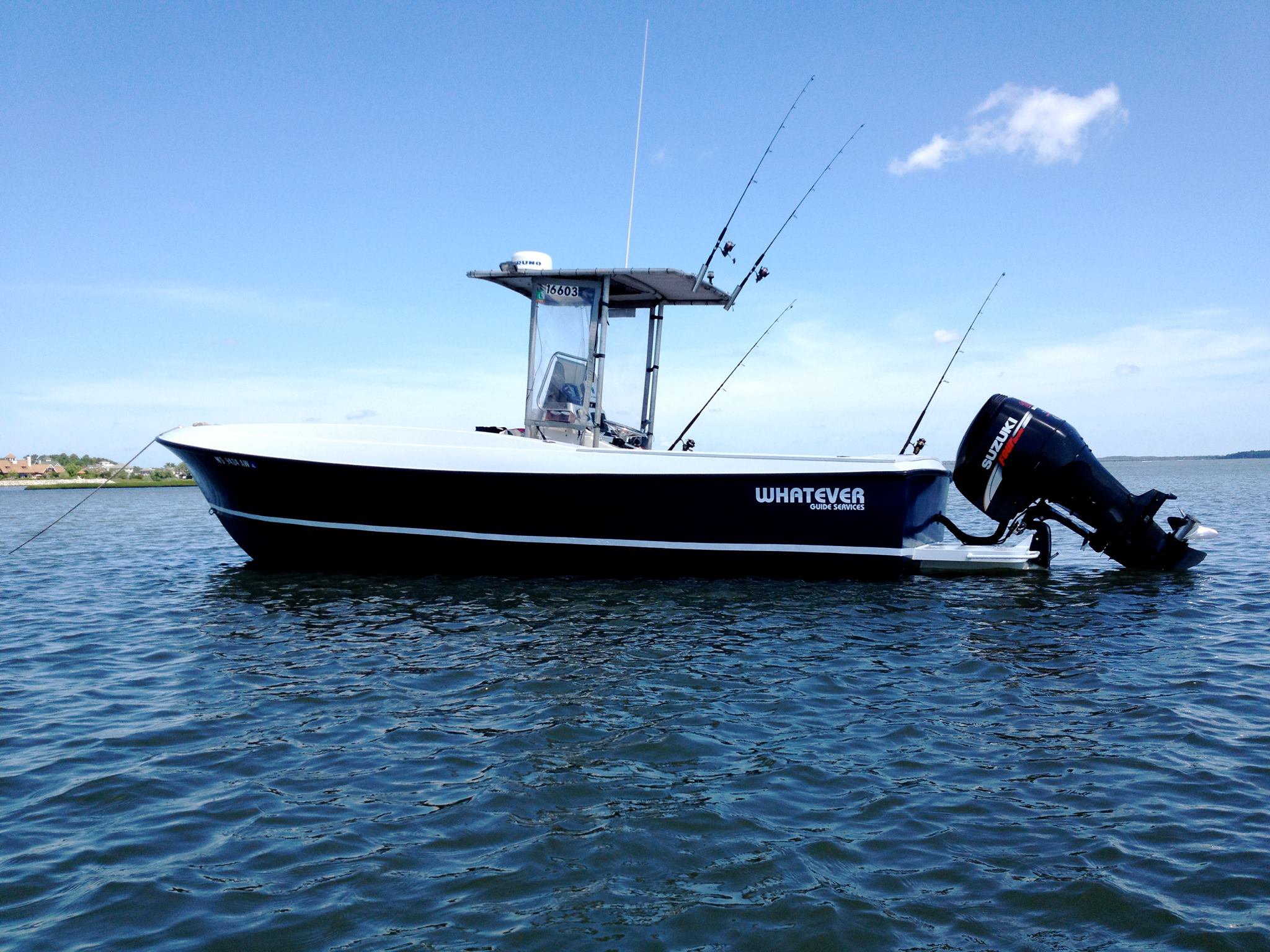 Things To Do Whatever Guide Service