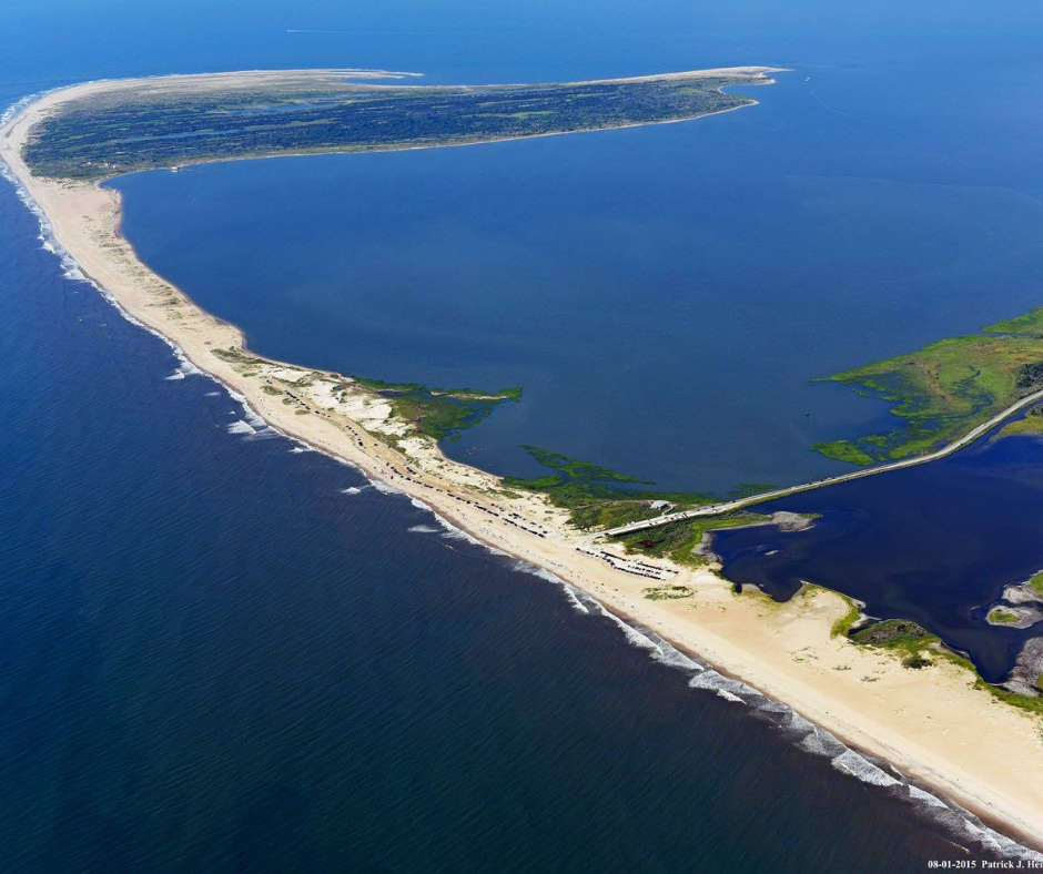 Things To Do Chincoteague National Wildlife Refuge
