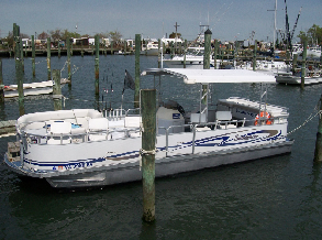 Things To Do Island Queen Charters