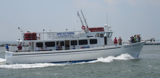 Things To Do Ocean Princess, inc