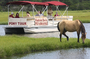 Thing To Do Island Tours / Boat Tours