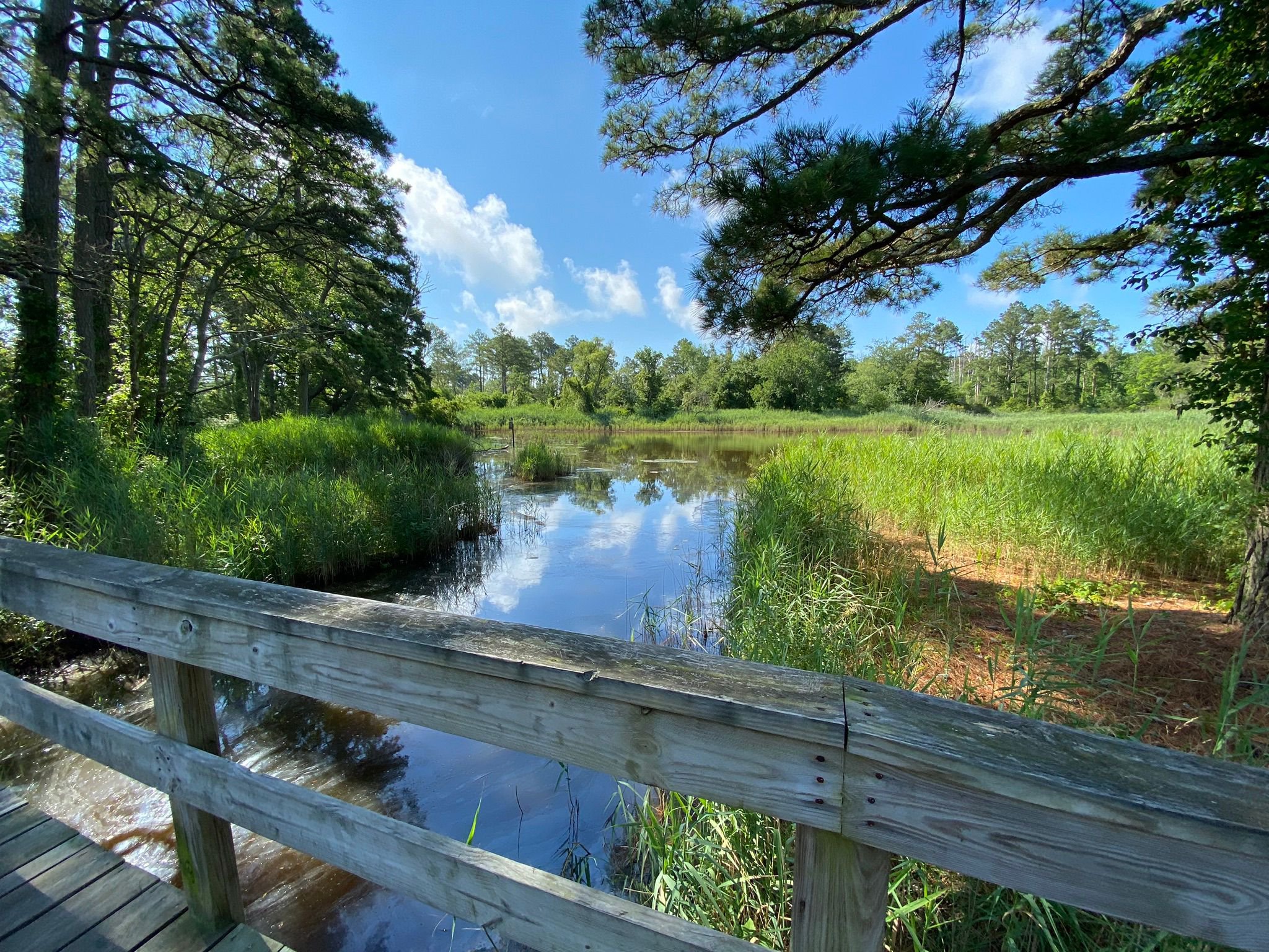 Things To Do Island Nature Trail