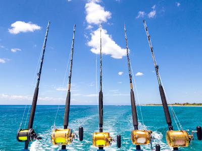 Thing To Do Fishing Charters
