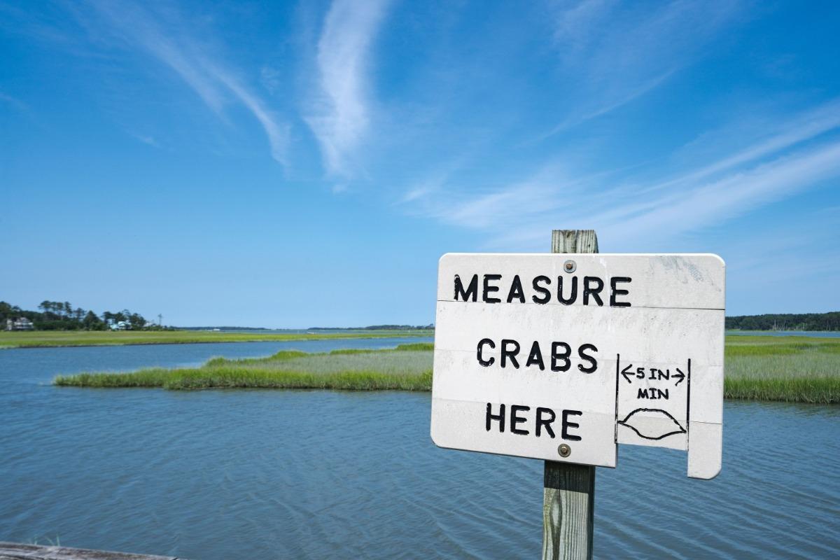 Funland Amusements – Chincoteague Island, VA
